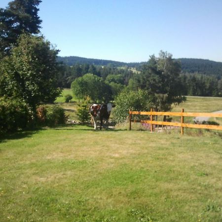 Ressourcez Vous En Pleine Nature! Saint-Regis-du-Coin Exterior photo